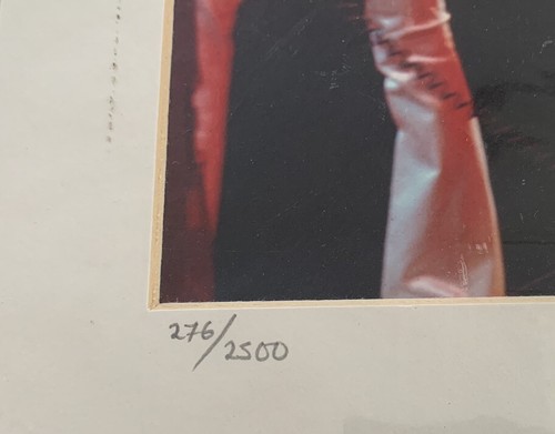 STUDIO LIMITED EDITION Freddie Mercury Queen photo 276 / 2500 w certificate - Picture 4 of 6