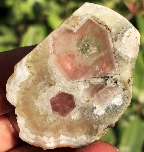 64CT WOW! RARE Natural Trapiche Star RED Quartz CRYSTAL Specimen ia4156 - Picture 9 of 12