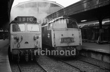 Paddington Class 50 & Class 52 Western 1970 s 35mm Railway Negative RN542