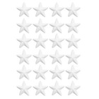 24 Pcs Star Cutouts Fillable Baubles Craft Xmas DIY Christmas Tree