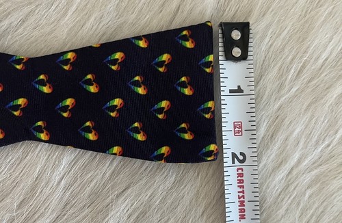 NEW The Tie Bar Bow Tie Rainbow Hearts Silk Self Tie 2" Jesse Tyler Ferguson - Picture 5 of 5