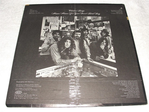 Chelsea Beige "Mama, Mama, Let Your Sweet Bird Sing" 1971 Psych/Prog LP, SEALED! - Picture 2 of 2