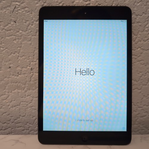 Apple iPad Mini 1st Gen 32GB Wi-Fi 7.9in - Black & Slate A1432 Generation - Picture 1 of 15