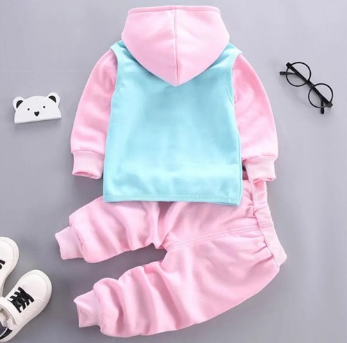 Autumn Winter Baby Boys Clothes Sets Thick Fleece Cartoon Bear Jacket Vest Pants - Picture 22 of 27