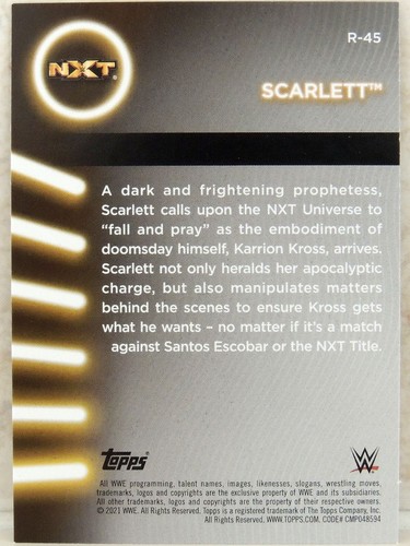 WWE TOPPS WOMEN'S DIVISION WRESTLING TRADING CARDS 2021 DIVAS ROSTER WWF AEW - Picture 43 of 215