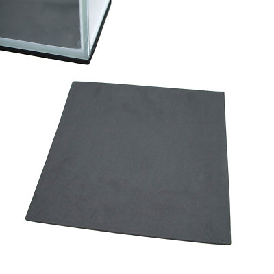 what's the fastest dog in the world