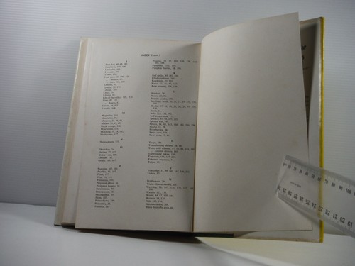 This Week in your Garden By "Waratah" P J Hurley Australian vintage garden book - Bild 11 von 15