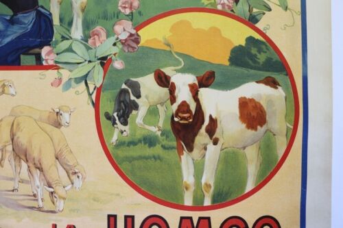 AFFICHE AGRICOLE RURALE 1900 SOYA SOJA HOMCO ALIMENT BETAIL FERME PAYSAN - Bild 4 von 9