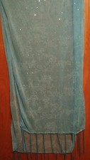 Beautiful Baby Blue Sequin Scarf With Fringes