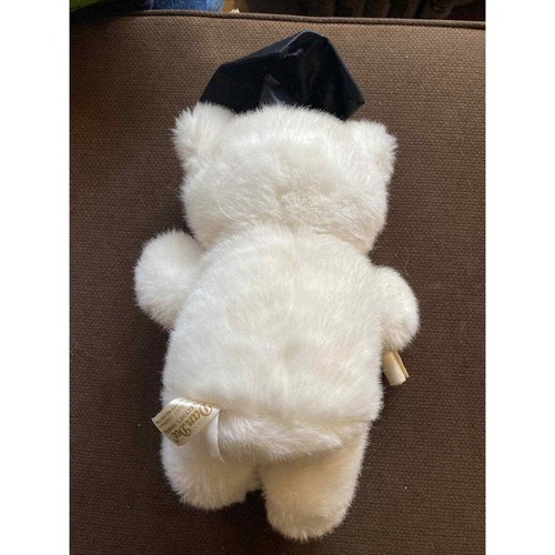Graduation Gift Teddy Bear Dan Dee Collectors Choice Plush Stuffed Animal Used - Picture 5 of 12
