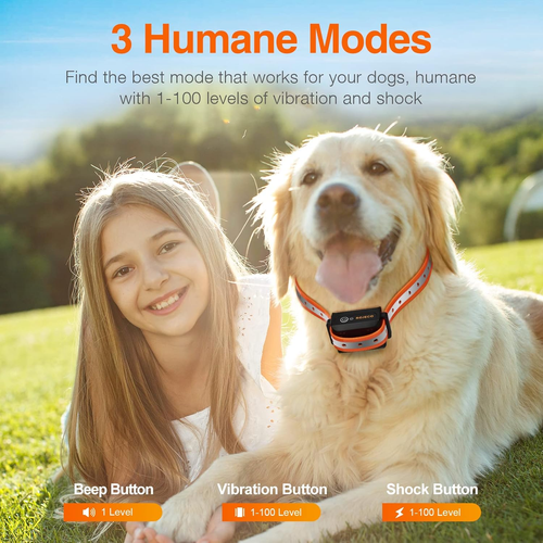 Hundetraining Halsband mit 3300FT Fernbedienung, IPX7 Wasserdicht Wiederaufladbar Schockhalsband - Bild 2 von 12