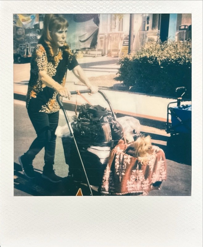 Original Polaroid 600 Art Photograph Street Kitsch Bizarre Cart Documentary