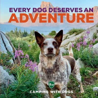 Every Dog Deserves an Adventure: Amazing Stories of Camping with Dogs