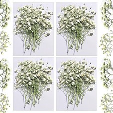 Dried Babys Breath White, 48pcs Dried Flowers for Resin Pressed from Natural ...