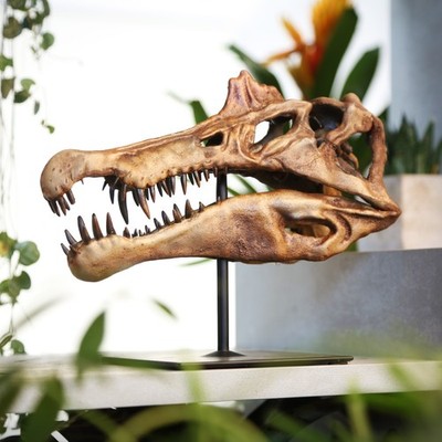 Spinosaurus Dinosaurier Schädel bemalt 3D Modell - Wohndeko Geschenke für Ihn