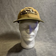 Vintage Goofys Hat Co Youth Snapback Wool Ble...