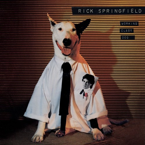 RICK SPRINGFIELD - WORKING CLASS DOG NEW CD - Picture 1 of 1