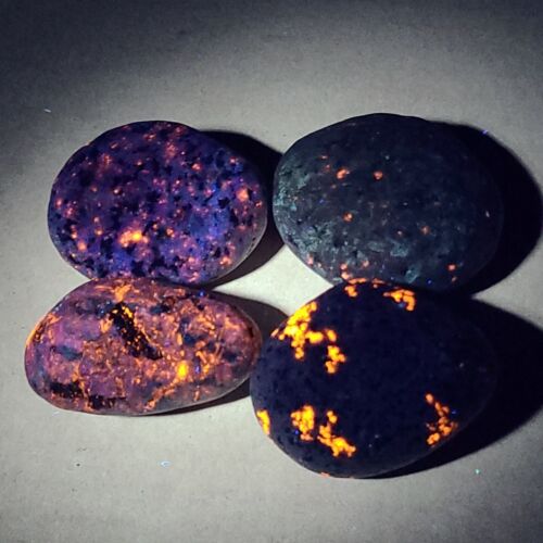 YOOPERLITE STONES ROCCE DI SODALITE FLUORESCENTE DAL LAGO SUPERIOR BAGLIORE SOTTO I RAGGI UV - Foto 3 di 4