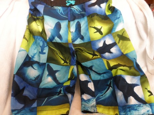 Youth blue, lime with fish and sharks swim shorts size L (14-16 ) by Arizona - Picture 1 of 7