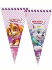 PAW Patrol Party Cone Party Bags