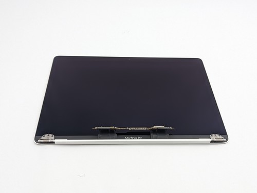 MacBook Pro A2251 A1989 A2159 A2289 Silber LCD Screen Assembly Cracked Bezel - Bild 9 von 12