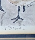 Picture 4 of 8