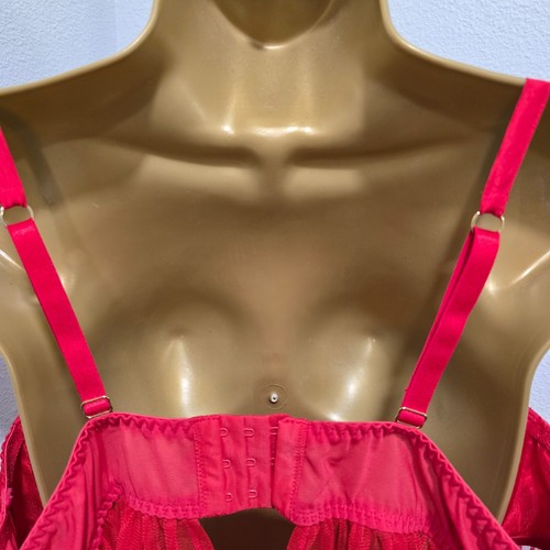 Cacique Lane Bryant Lingerie Babydoll Red Underwire 22 24 Boudoir Sheer Lace - Picture 6 of 9