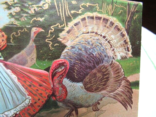 Antigua postal de Acción de Gracias de principios de 1900 niña con pavo abanicado dorado en relieve - Imagen 7 de 7