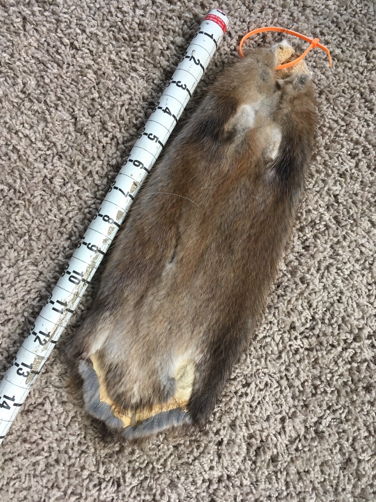 Picture 2 of 3