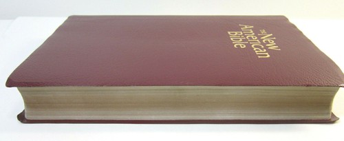 La nouvelle Bible américaine édition révisée 2010 presse catholique mondiale - Photo 3/7