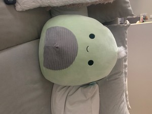 NEW Squishmallow Herb The Turtle 16 Inch Kellytoy Soft Plush - | eBay