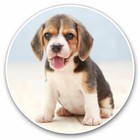 2 x Vinyl Stickers 20cm - Cute Beagle Puppy Dog Animal Cool Gift #21194