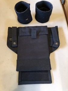 Wind and ebony breast plate essay 07 picture