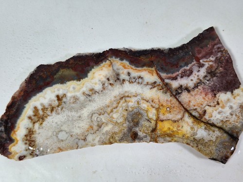 Unpolished MEXICAN LACE AGATE Lapidary Slab *Mexico *over 5 x 2 x .25 inch *5 oz - Picture 3 of 16