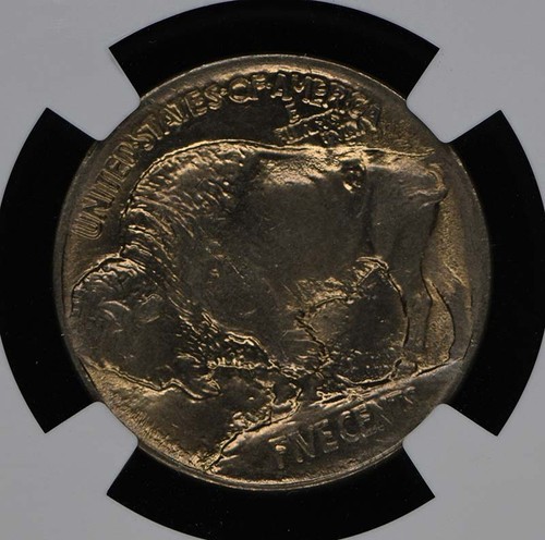 1913 Buffalo Nickel Type I 5C NGC MS64 - Picture 4 of 4