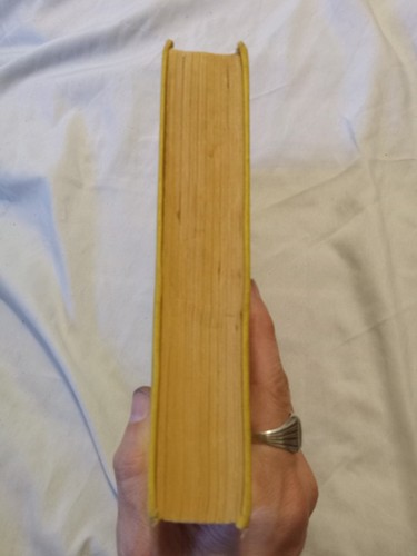 The Museum Murder John T McIntyre 1929 - Bild 9 von 9