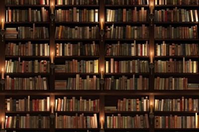 Old Books Two Storied Bookshelf Library Laminated Dry Erase Sign Poster 18x12