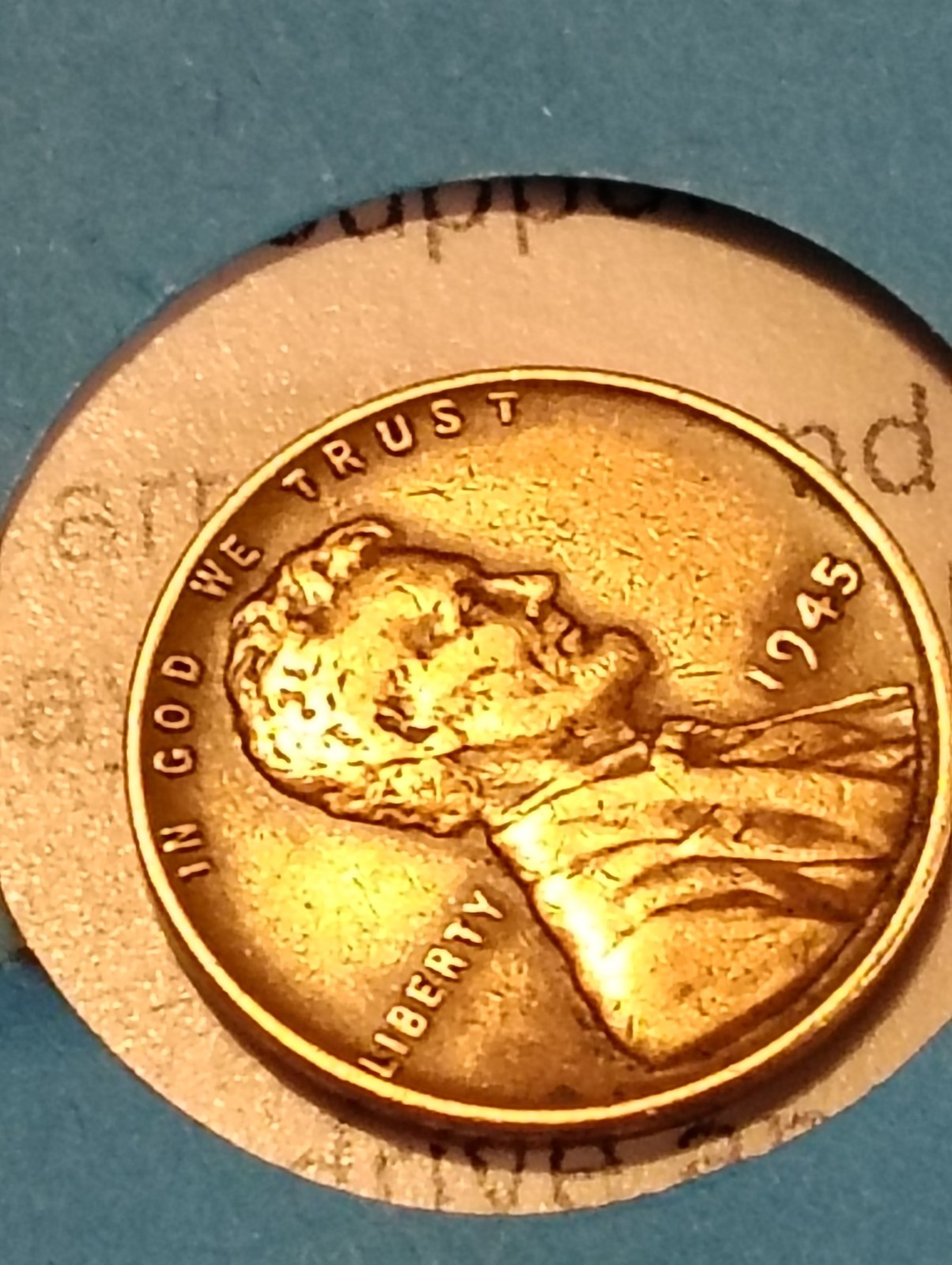 Picture 6 of 7