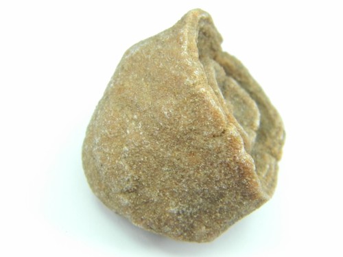 Stromatolite Fossile Marocco Piccolo 35,38 grammi - Foto 3 di 6