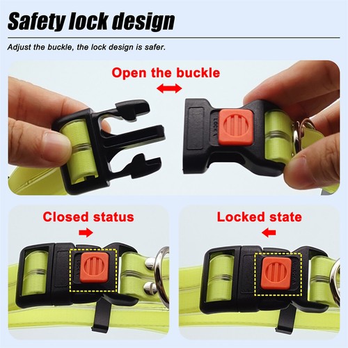 LED Light Up Dog Leash Luminous Rope Lead Leash Safety Flashing Glowing Collar - Picture 5 of 36