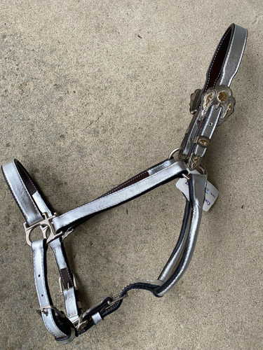 Congress Leder Metallic Silber Western Show Halfter mit Alpaka Silber Pferdegröße - Bild 1 von 4