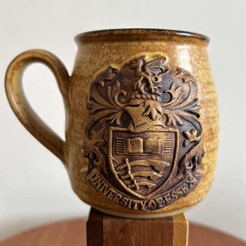 Vintage University Of Essex 1980s Era Mug Earthenware / Stoneware Rare