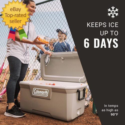 316 Series Insulated Portable Cooler with Heavy Duty Latches, Leak-Proof Outdoor - Picture 2 of 12