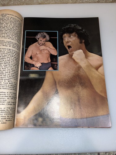 Jack Brisco NWA Poster Wrestling World Summer 1974 Bobo Brazil Rachel DuBois - Picture 7 of 14