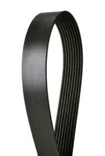 Serpentine Belt-Multi-V Continental Elite 4081325