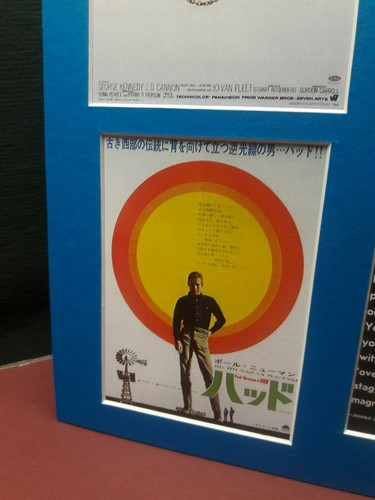 Vintage Movie Poster Display - Paul Newman #1 - Variety - Signed  - Picture 3 of 7