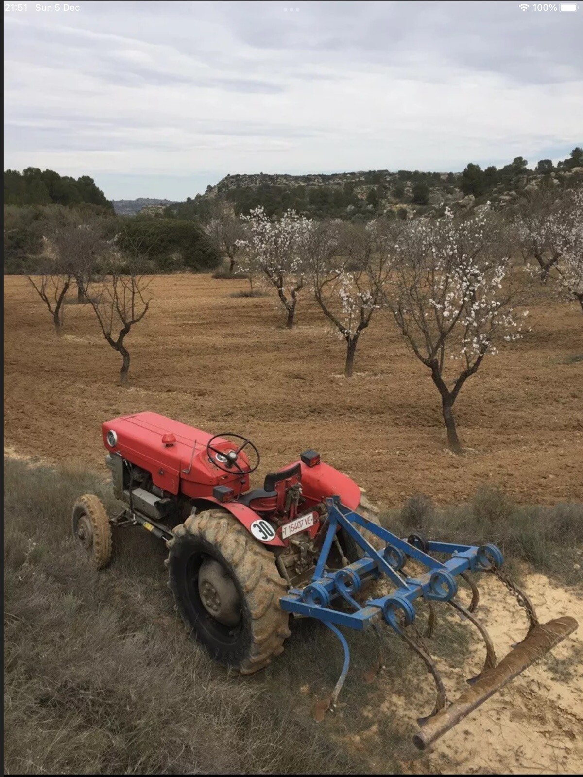Country Finca 40 Acres Off Grid Fantastic Business Opportunity! Land In Spain - Picture 9 of 12