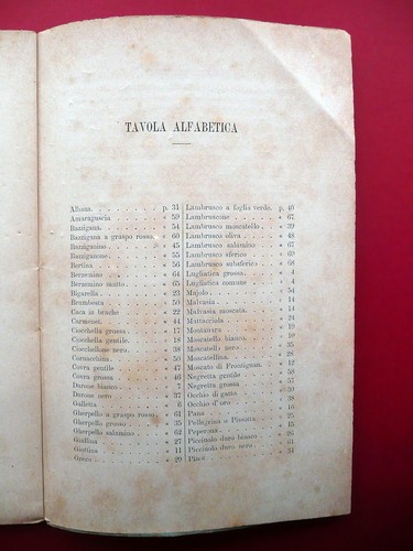Contributo all'Ampelografia Modenese Lodovico Malavasi Olivari Modena 1879 Raro - Foto 6 di 7