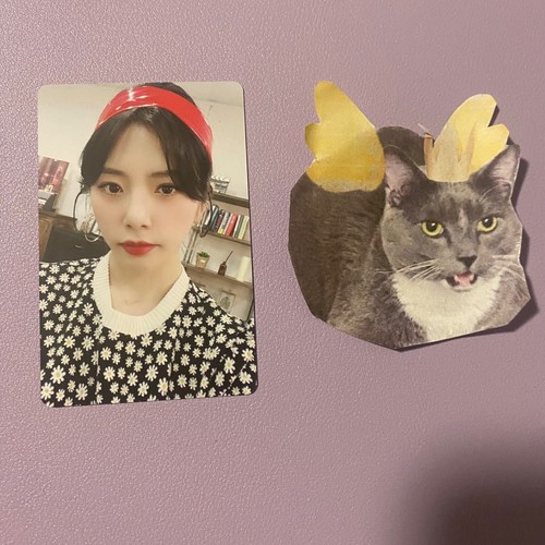 Dreamcatcher Jiu Official Photocards & POBs - Picture 9 of 11