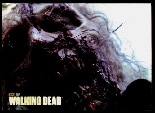 2013 Bulls-i-Toy The Walking Dead Stickers Season 2 Update #S21 - Picture 1 of 2